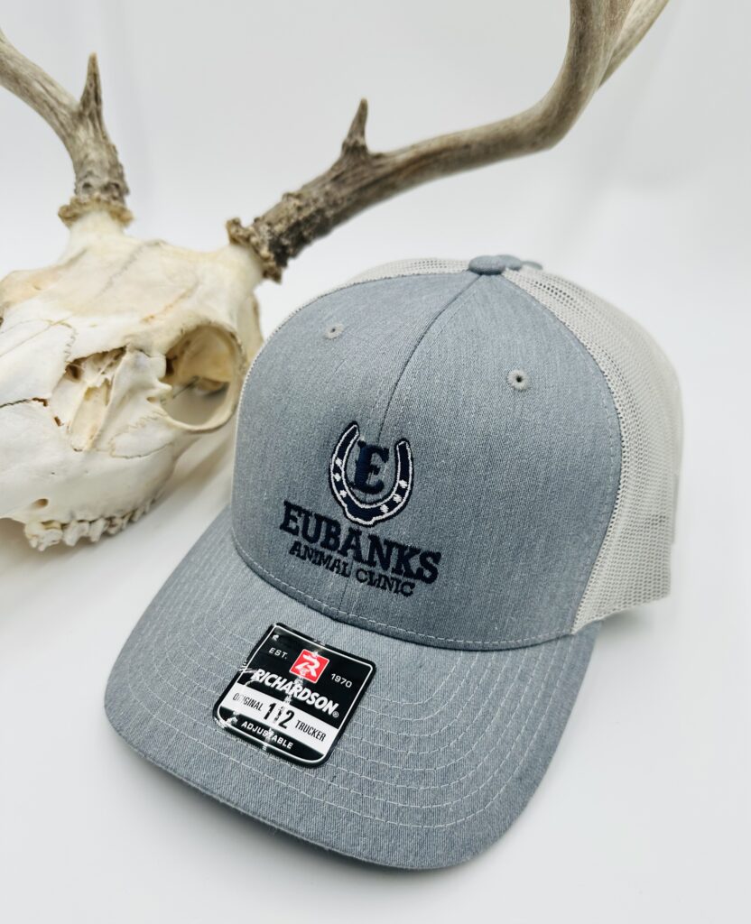 Logo embroidered on a cap